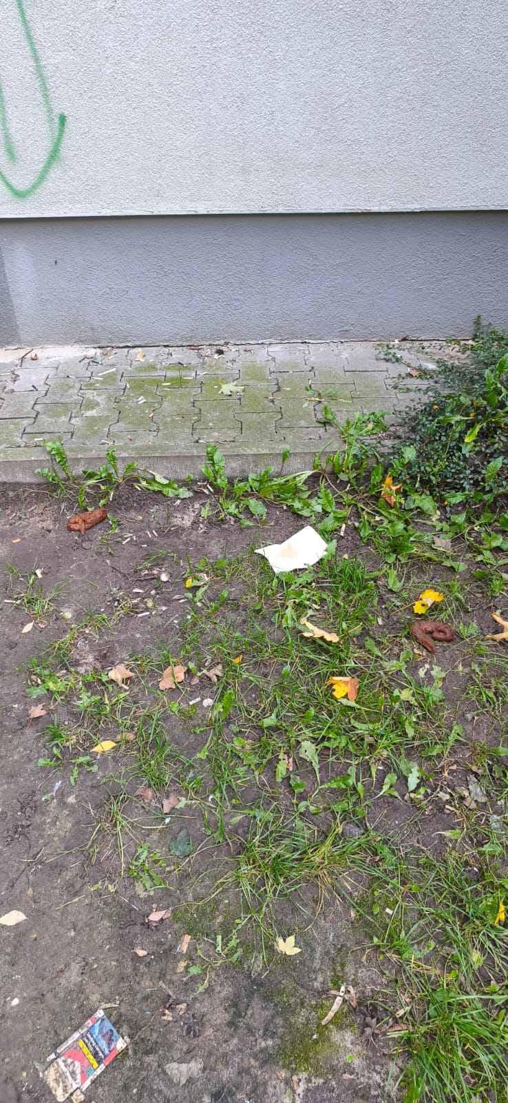 Ludzkie odchody Biedronka Bydgoszcz Wyzwolenia